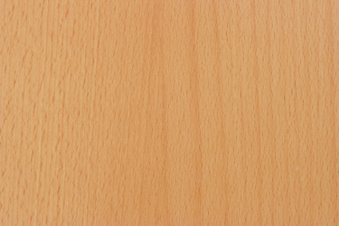 Similar image 506613