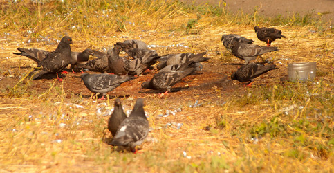 Similar image 506614