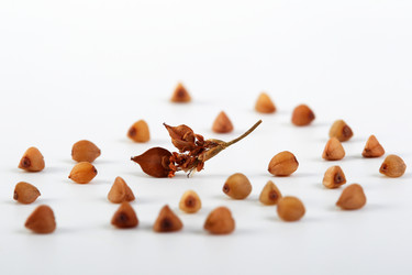 Similar image 506615