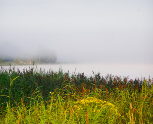 Similar image 506624