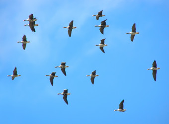 Similar image 506637