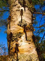 Similar image 506657