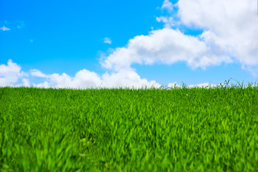 Similar image 506662