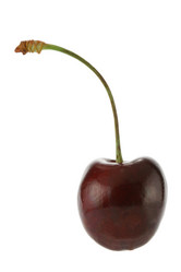 Similar image 506666