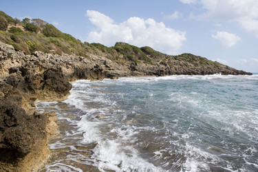 Similar image 506696