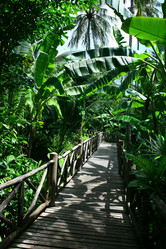 Similar image 506714