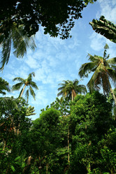 Similar image 506719