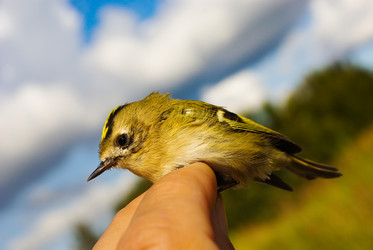 Similar image 506721