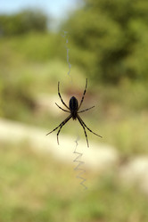 Similar image 506748