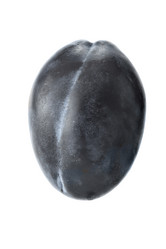 Similar image 506753