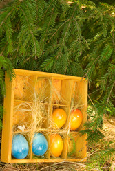 Similar image 506759