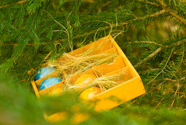 Similar image 506763