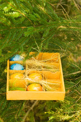 Similar image 506765