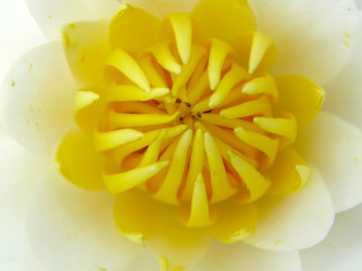 Similar image 506785