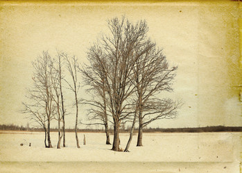 Similar image 506805