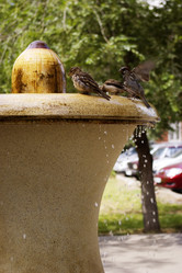 Similar image 506806