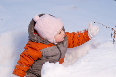 Similar image 506883