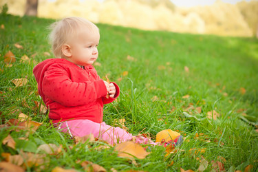 Similar image 506900