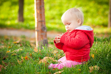 Similar image 506902