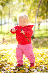 Similar image 506905