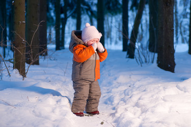 Similar image 506910