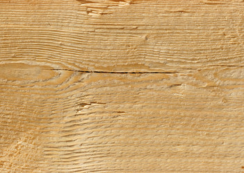 Similar image 506974