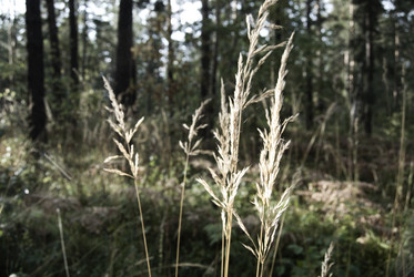 Similar image 506991