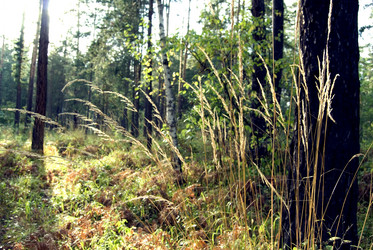 Similar image 507002