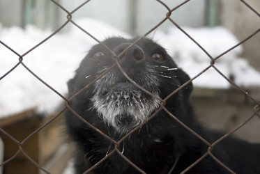 Similar image 507023