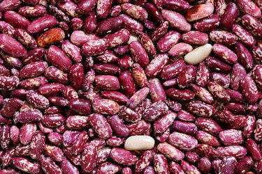 Similar image 507119