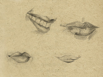 Similar image 507213