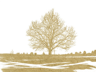 Similar image 507220