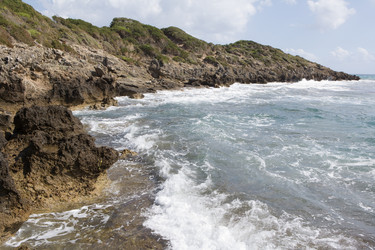 Similar image 507244