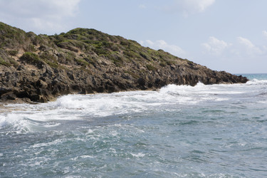 Similar image 507245