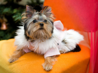 Similar image 507266