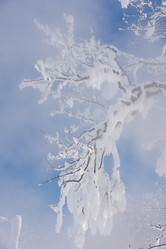 Similar image 507274