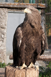 Similar image 507278