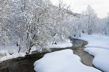 Similar image 507280