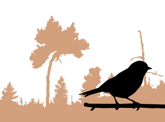 Similar image 507387