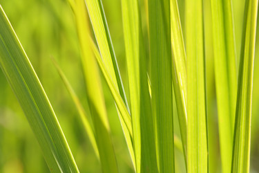 Similar image 507389