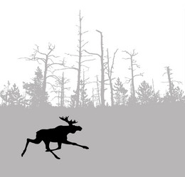 Similar image 507394