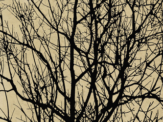 Similar image 507395