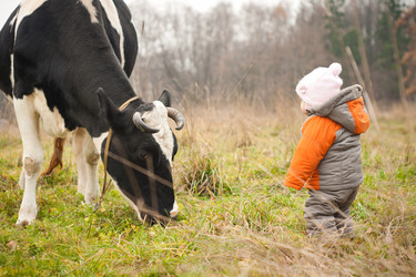 Similar image 507396