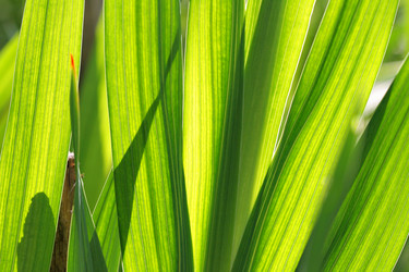 Similar image 507401