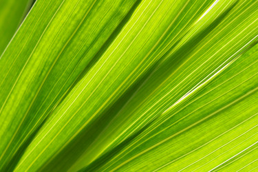 Similar image 507403