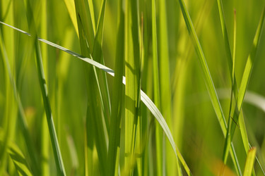 Similar image 507409