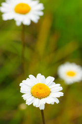 Similar image 507418