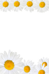 Similar image 507431