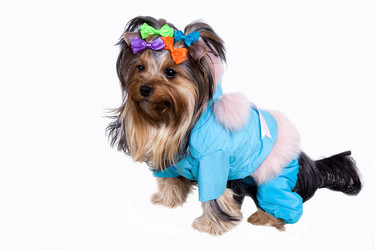 Similar image 507432