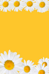 Similar image 507435